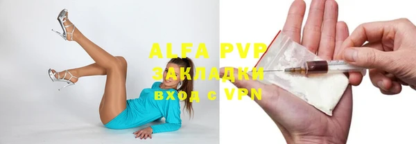 гидра Алексин
