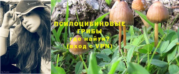 СК Алексеевка