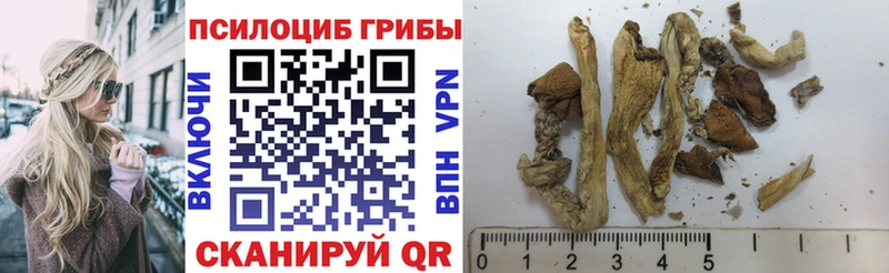 Галлюциногенные грибы Magic Shrooms  Новошахтинск 