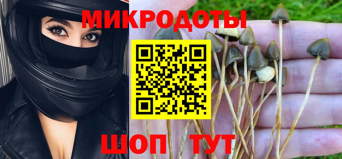 Галлюциногенные грибы мухоморы  Вход с VPN  как найти наркотики  Новошахтинск 